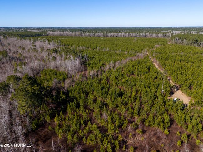 00 Sykes Town Rd, Home with 0 bedrooms, 0 bathrooms and null parking in Currie NC | Image 34