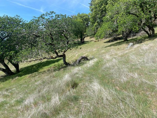 19010 Hulbert Rd, Home with 0 bedrooms, 0 bathrooms and null parking in Yorkville CA | Image 24
