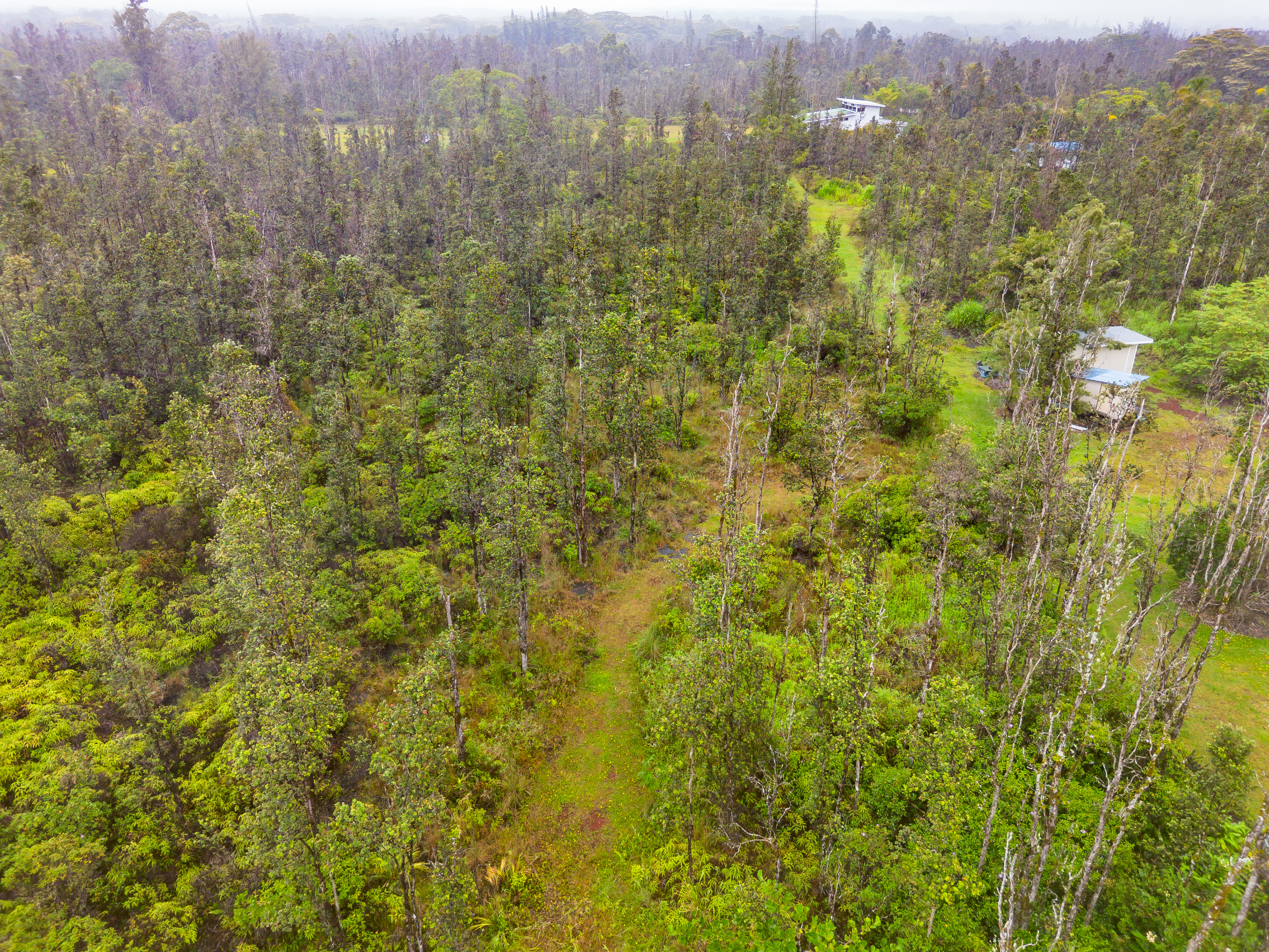 Land in Keaau 3