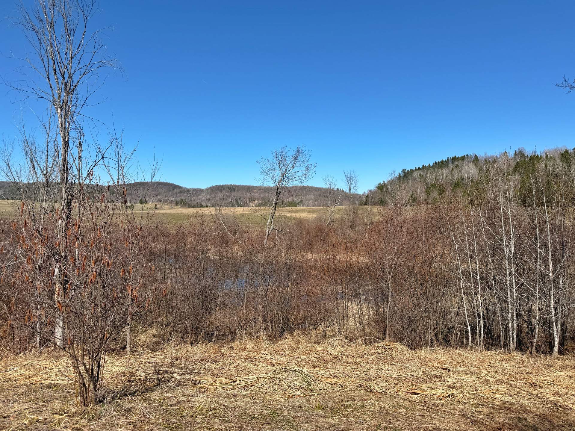 Land in Notre-Dame-de-la-Salette 5