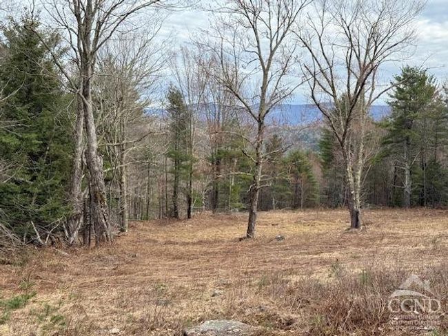 0 Campbell Rd, Home with 0 bedrooms, 0 bathrooms and null parking in Windham NY | Image 19