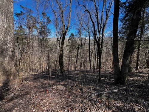0 Lakeshore Dr, Dover, TN, 37058 | Card Image