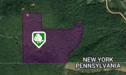 253 Fenescey Road, Windsor, NY, 13865 | Card Image