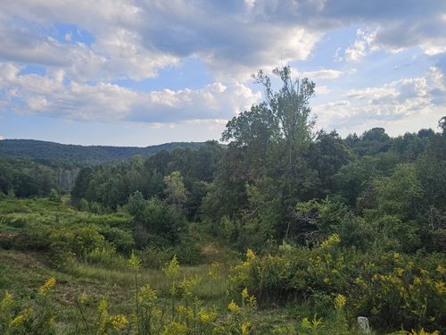 1970 Rock Ave, Palmer, TN, 37365-4014 | Card Image