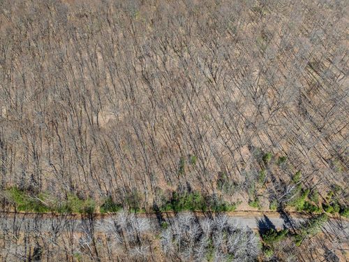 L11-13+ Red Fox, Presque Isle, WI, 54557 | Card Image