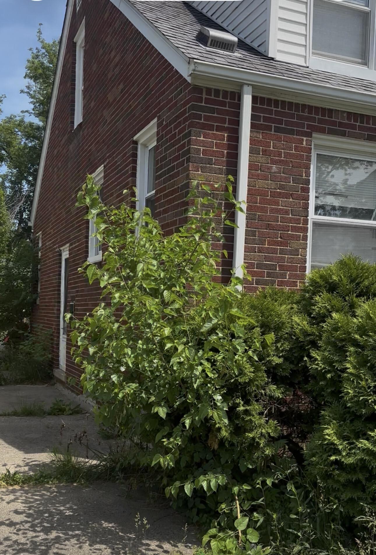 Residential in Detroit 3