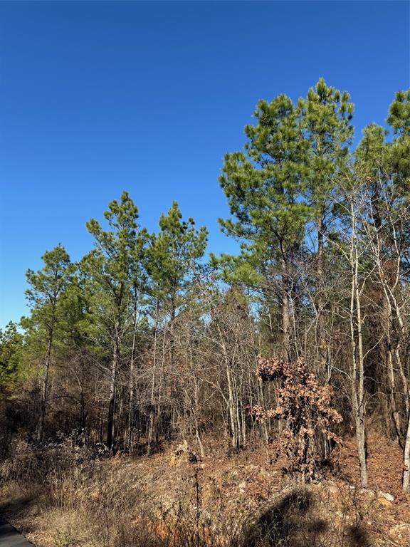 Land in Broken Bow 3