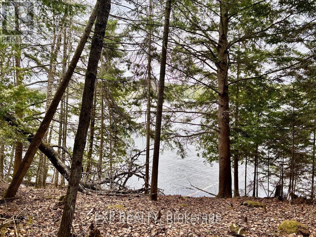 Land in Madawaska Valley 2