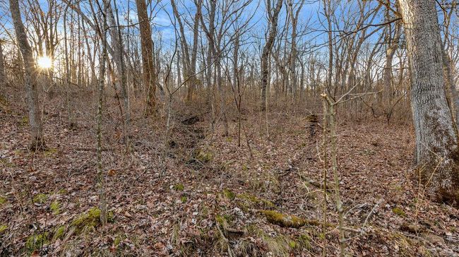 0 Highway M, Home with 0 bedrooms, 0 bathrooms and null parking in Villa Ridge MO | Image 12