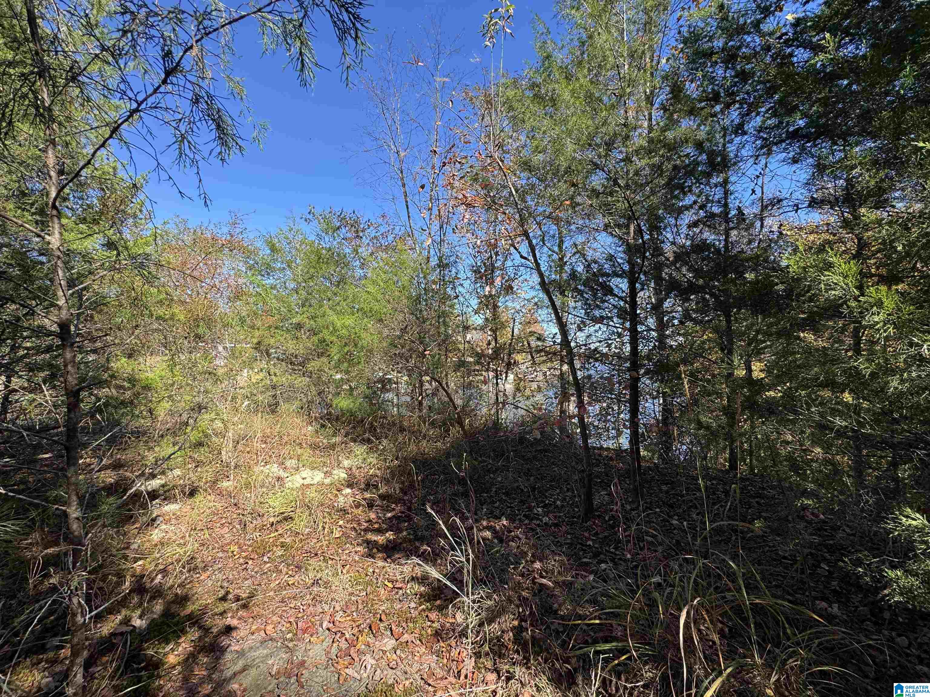 Land in CLANTON 4