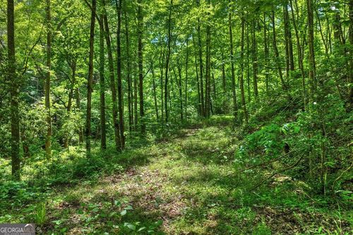 LOT 106 Mountain Creek Hollow Dr, Talking Rock, GA, 30175-4732 | Card Image