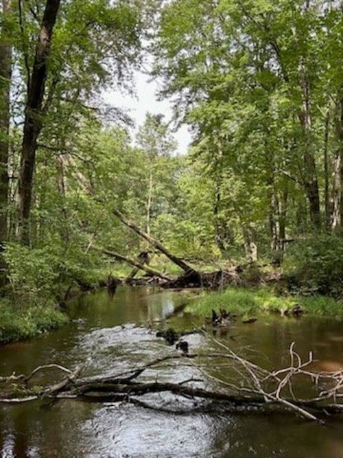 39.94 Acres County Road V, Pittsville, WI, 54466 | Card Image