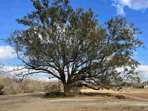 38174 Oakland Dr, Prairieville, LA, 70769-3838 | Card Image