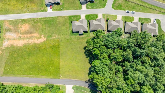 0 Eagle Loop, Home with 0 bedrooms, 0 bathrooms and null parking in Loretto TN | Image 6