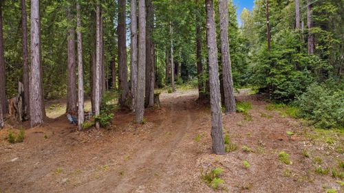 22039 Timber Cove Rd, Jenner, CA, 95450-9713 | Card Image