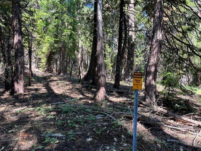 2761 Quincy La Porte Rd, Home with 0 bedrooms, 0 bathrooms and null parking in Strawberry Valley CA | Image 10
