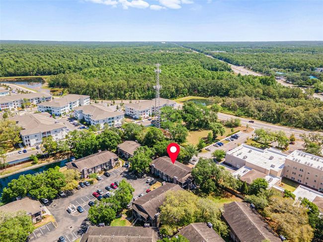 APT-101 - 4035 Angel Oak Ct, Condo with 2 bedrooms, 2 bathrooms and null parking in TAMPA FL | Image 49