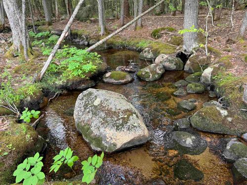 512 Deer Hill Rd, Chocorua, NH, 03817 | Card Image