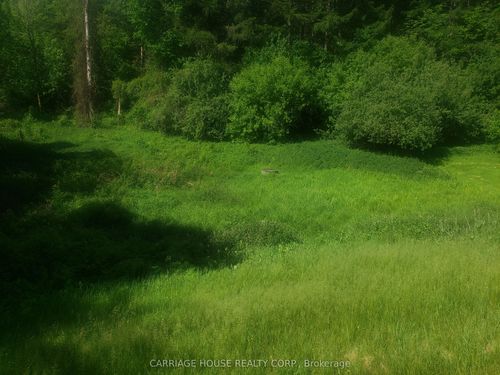 19904-Part 3 Main St, Alton, ON, L7K0C2 | Card Image