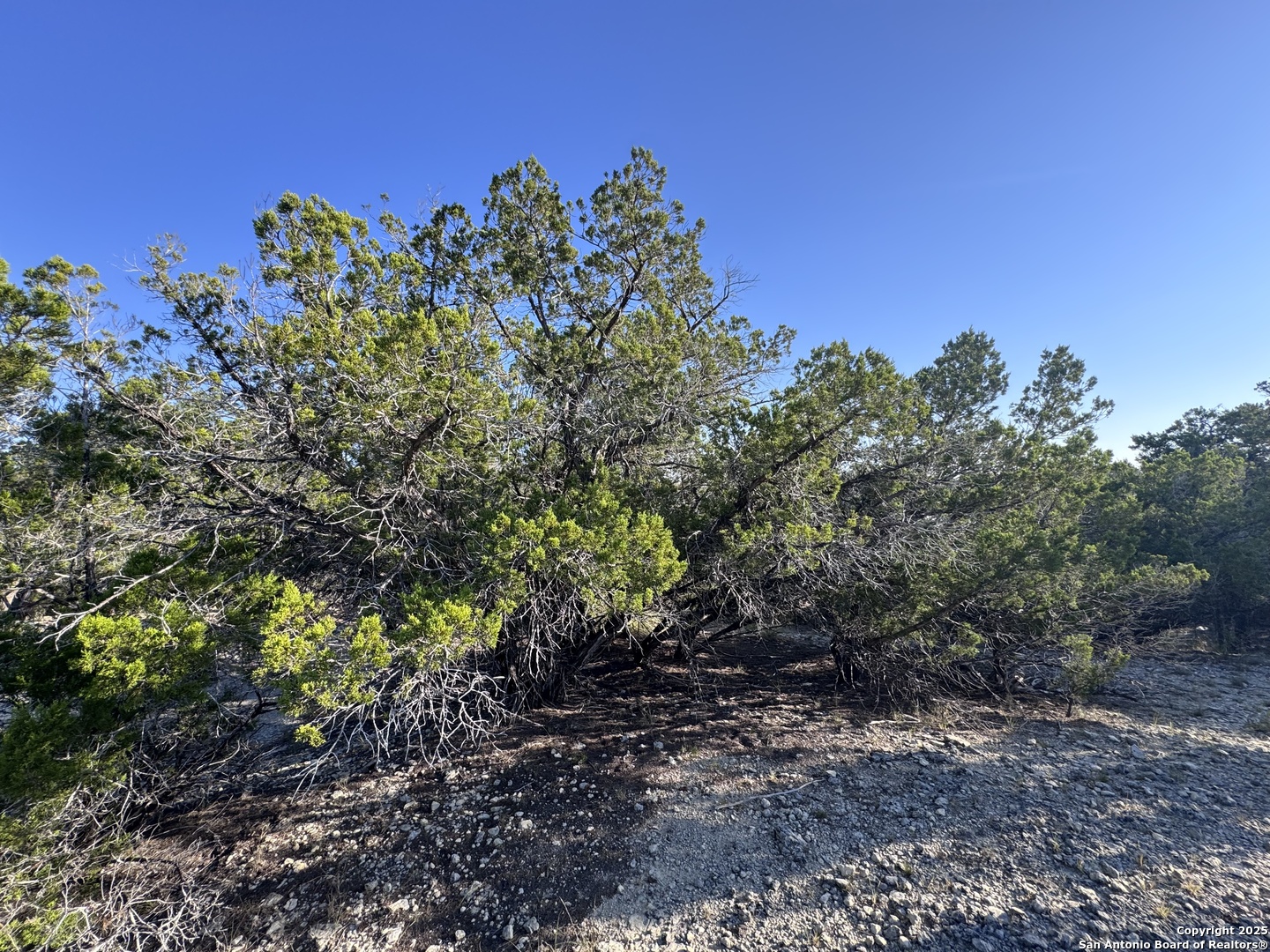 Land in Bandera 4