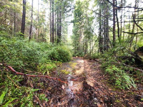 78030 Moody Rd, Piercy, CA, 95587 | Card Image