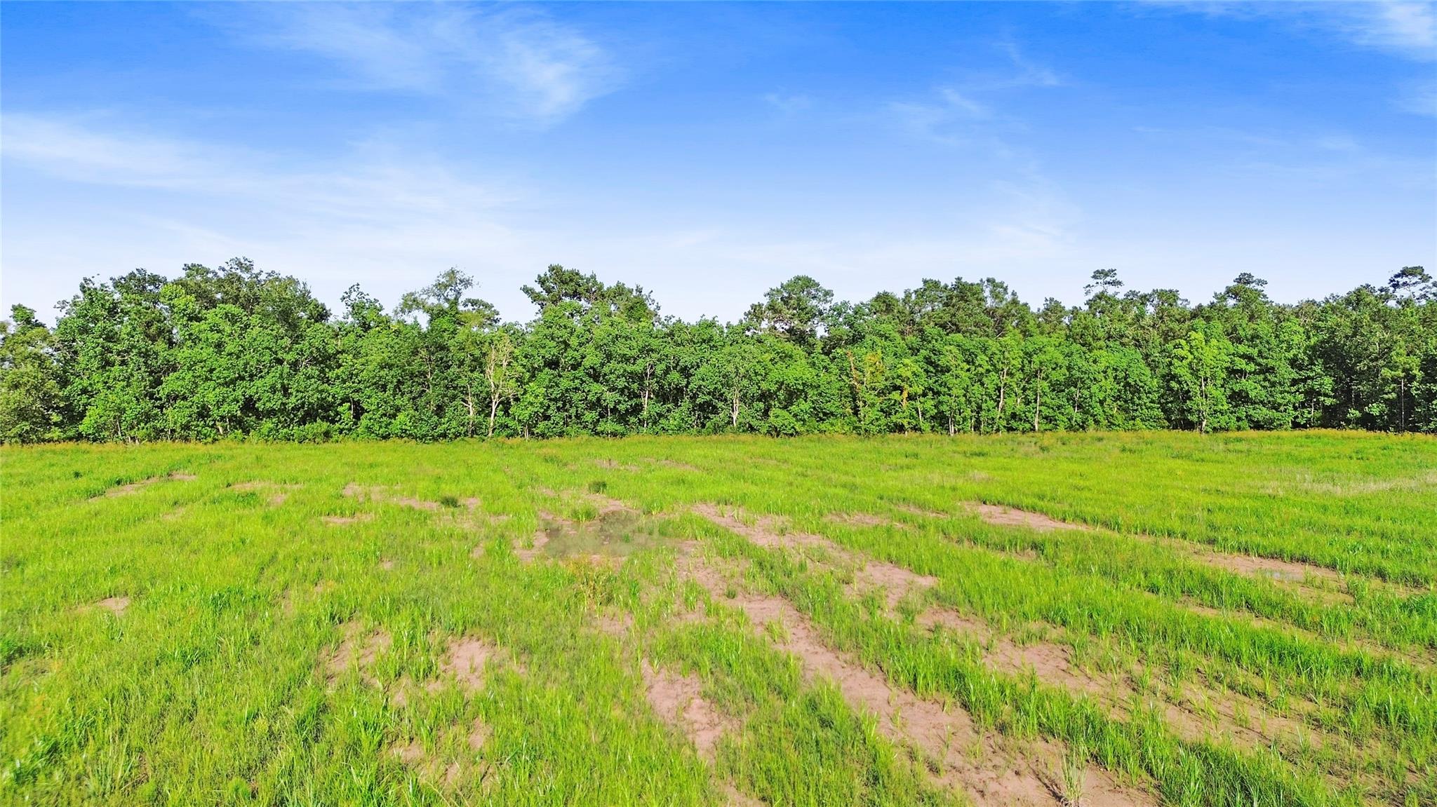 Farm in Wallisville 3