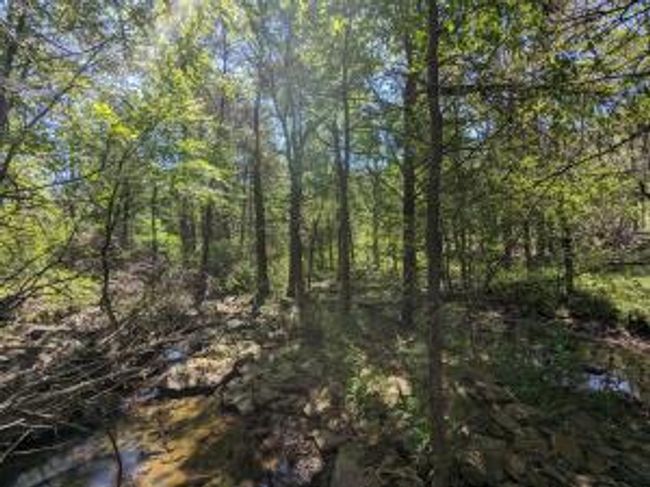 27B & 28B Shelby Lane, Home with 0 bedrooms, 0 bathrooms and null parking in Cecil AR | Image 44