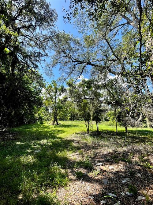 194 E 11th St, Apopka, FL, 32703 | Card Image