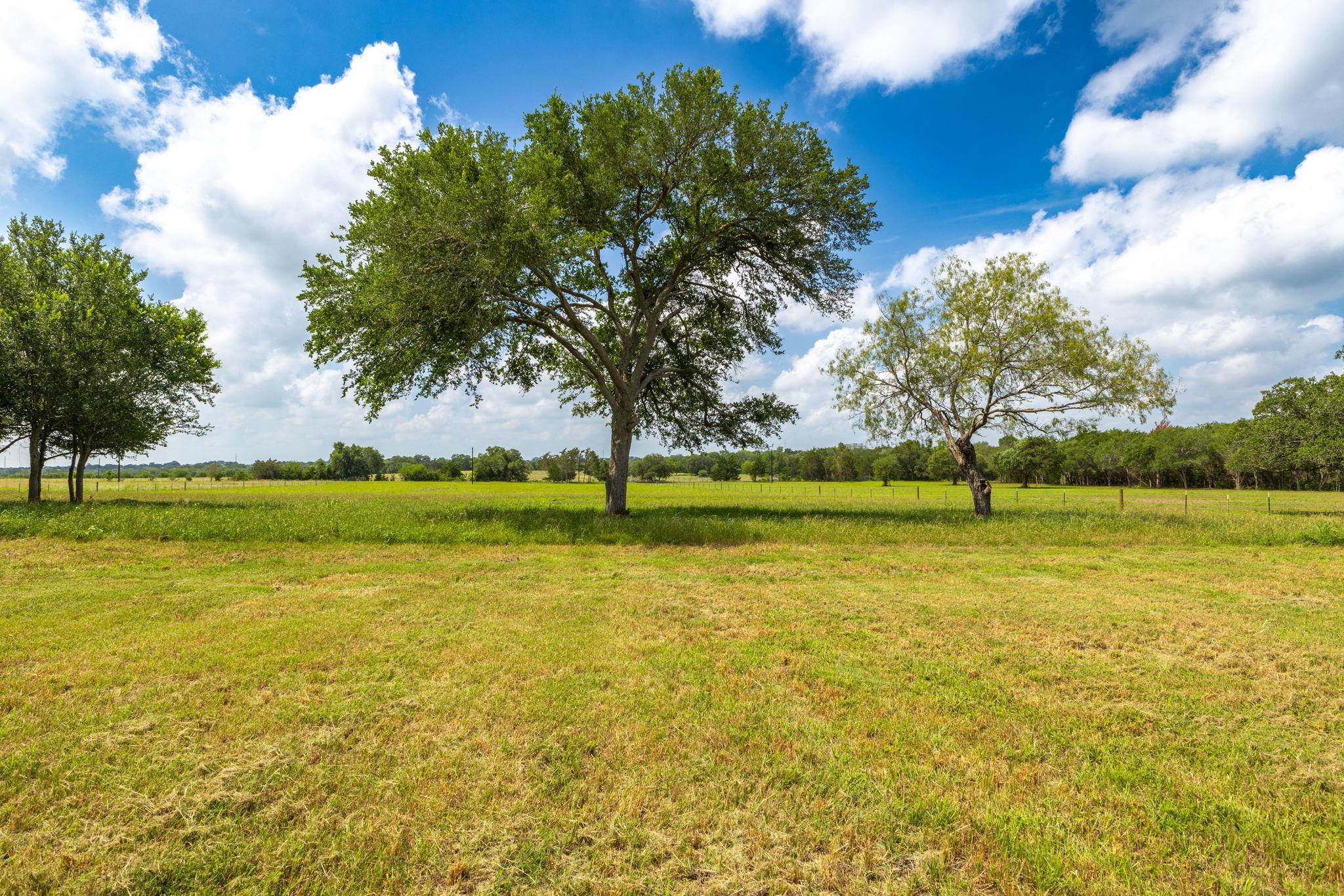 Land in Flatonia 5