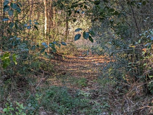 0 Cedar St, Grand Bay, AL, 36541 | Card Image