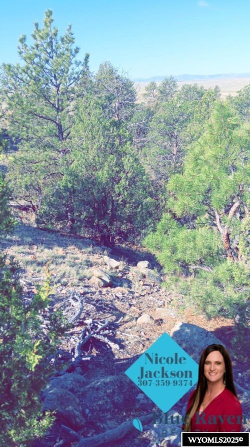 TBD E Trapper Rd, Wheatland, WY, 82201 | Card Image