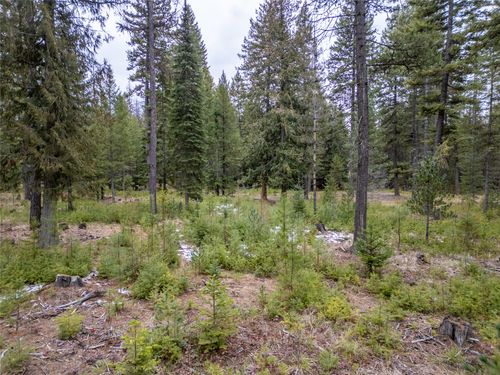 TBD Forest Rd, Troy, MT, 59935 | Card Image