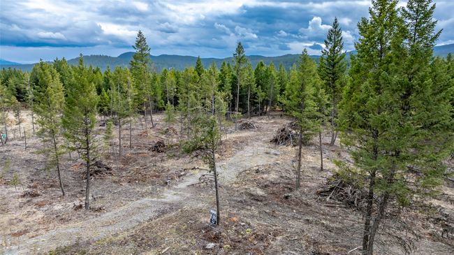 32 Osprey Loop, Home with 0 bedrooms, 0 bathrooms and null parking in Fortine MT | Image 19