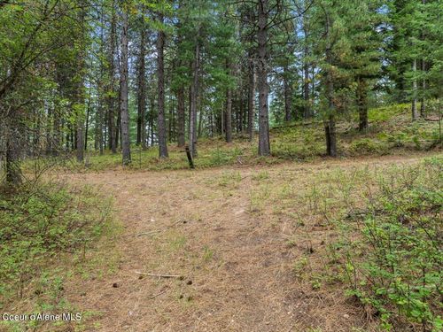 479 Lochsa Ln, Kingston, ID, 83839 | Card Image