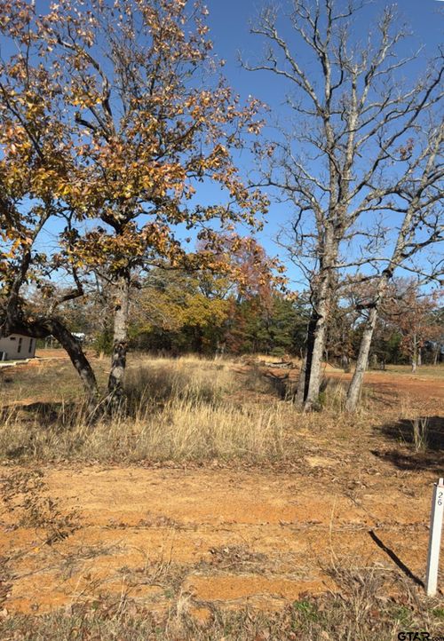19668 Dove Ridge Ln, Lindale, TX, 75771-2446 | Card Image