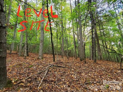 20-21-00 Hickery Woods Trl, Hendersonville, NC, 28739 | Card Image