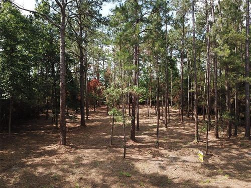 0 Vantage Dr, Brookeland, TX, 75931 | Card Image