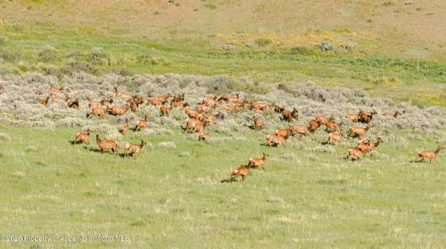 TBD County Road 57, Hayden, CO, 81639 | Card Image