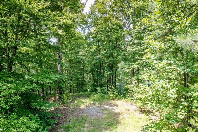 533 Shooting Tree Way, Home with 0 bedrooms, 0 bathrooms and null parking in Salem SC | Image 49