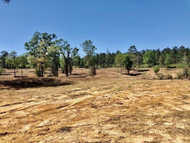 View of nature featuring rural landscape | Image 5