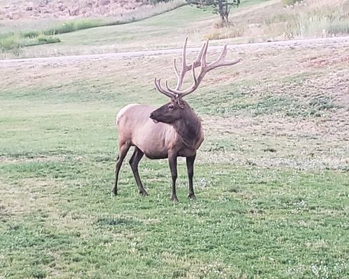 7 Creekside Ln, Clancy, MT, 59634-9533 | Card Image