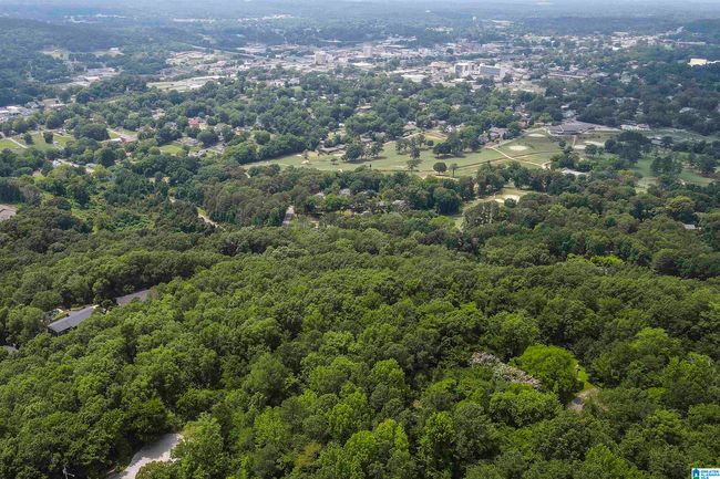 607-AC - 0 Rebecca Trl, Home with 0 bedrooms, 0 bathrooms and null parking in Anniston AL | Image 5