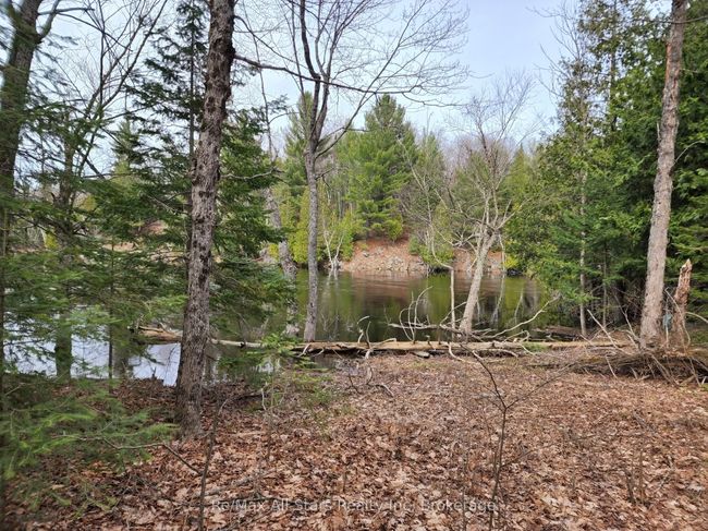 C - 781 Highway 520 Highway, Home with 0 bedrooms, 0 bathrooms and null parking in Whitestone ON | Image 12