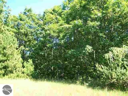 Lot 9 Torch Hill Ct, Rapid City, MI, 49676 | Card Image