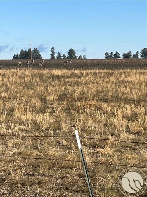 647 Majerus - Lot 1 Road, Roundup, MT, 59072 | Card Image