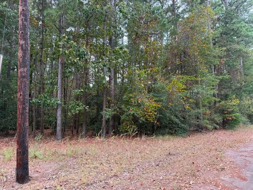 TBD Quail Drive, Jefferson, TX, 75657 | Card Image