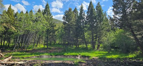 TBD Hall Creek Tract, Helmville, MT, 59843 | Card Image