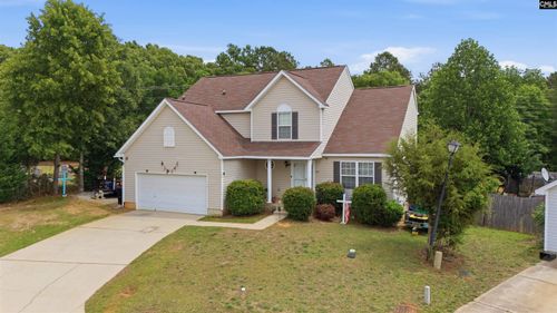 316 Turkey Beard Court, Chapin, SC, 29036 | Card Image