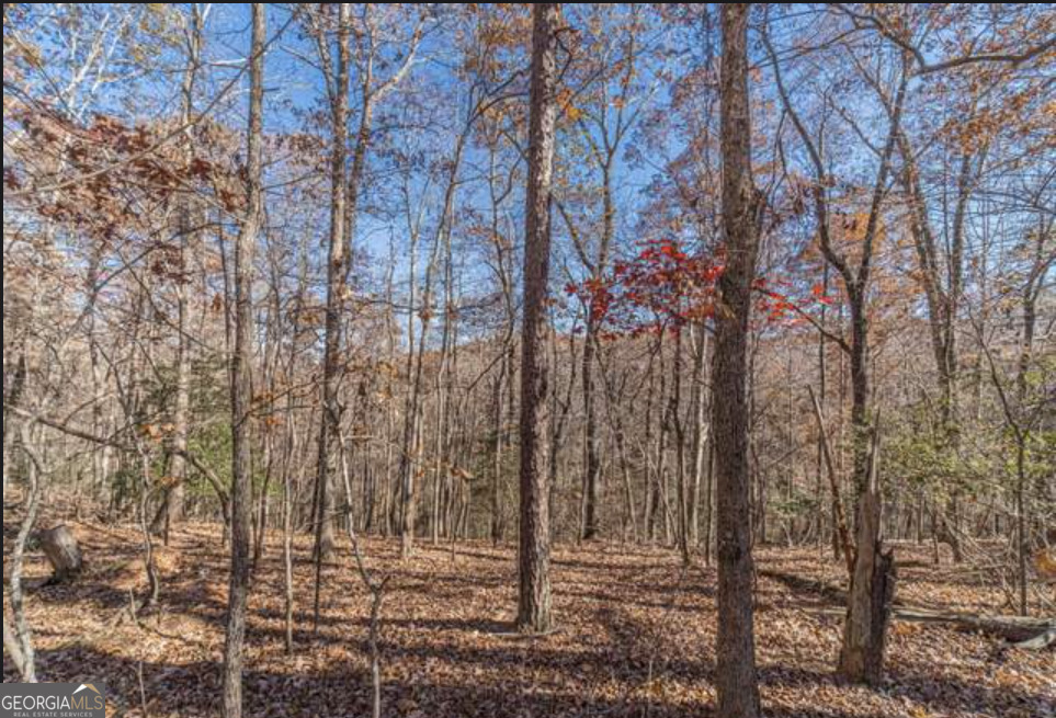 Land in Dahlonega 4
