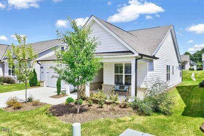 1541 Adonis Blue Wy-2 | Image 2